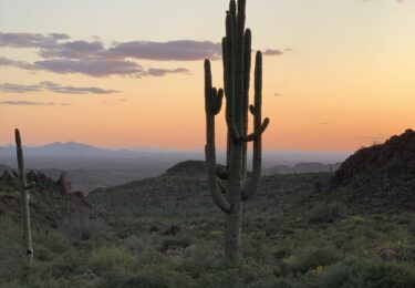Photo of Arizona Ranks No. 9 Fastest Growing State in U.S.