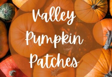 Photo of Valley Pumpkin Patches 🎃